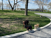 4 the Furry Ones (AZ) - Photo 2 - Car repair in , Tempe