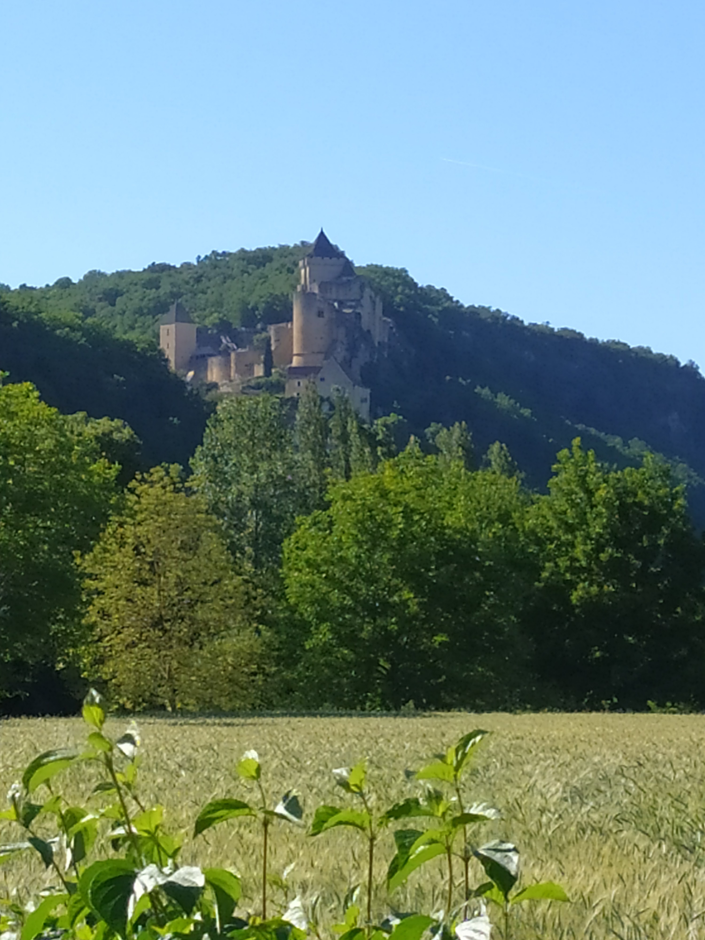 Photo n° 1 de l'avis de axel.x fait le 29/05/2022 à 13:54