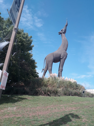 Zoo «Dallas Zoological Society», reviews and photos, 650 S R L Thornton Fwy, Dallas, TX 75203, USA