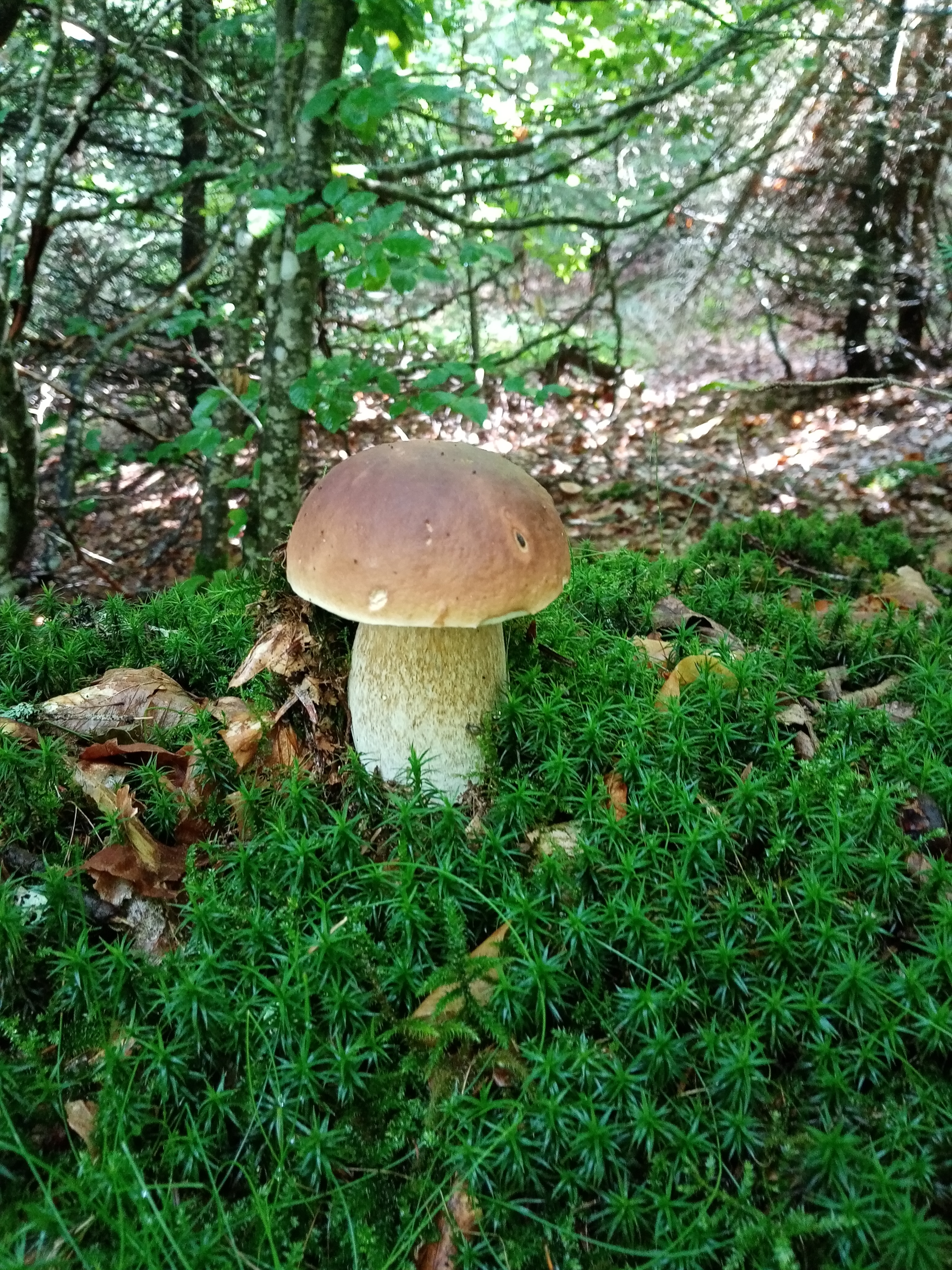 Photo n° 3 de l'avis de Muriel.r fait le 21/08/2021 à 10:23