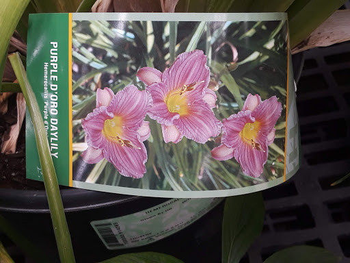 Animal Feed Store «Wilco Farm Store», reviews and photos, 3285 Commercial St SE, Salem, OR 97302, USA