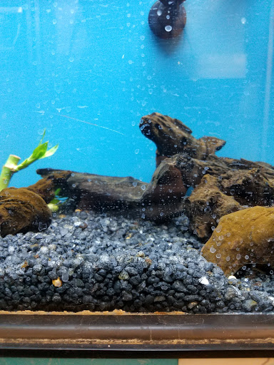 Pet Supply Store «Petco Animal Supplies», reviews and photos, 1337 N National Rd, Columbus, IN 47201, USA