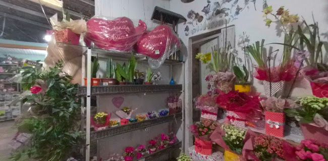 Flora Elchaday - Curitiba