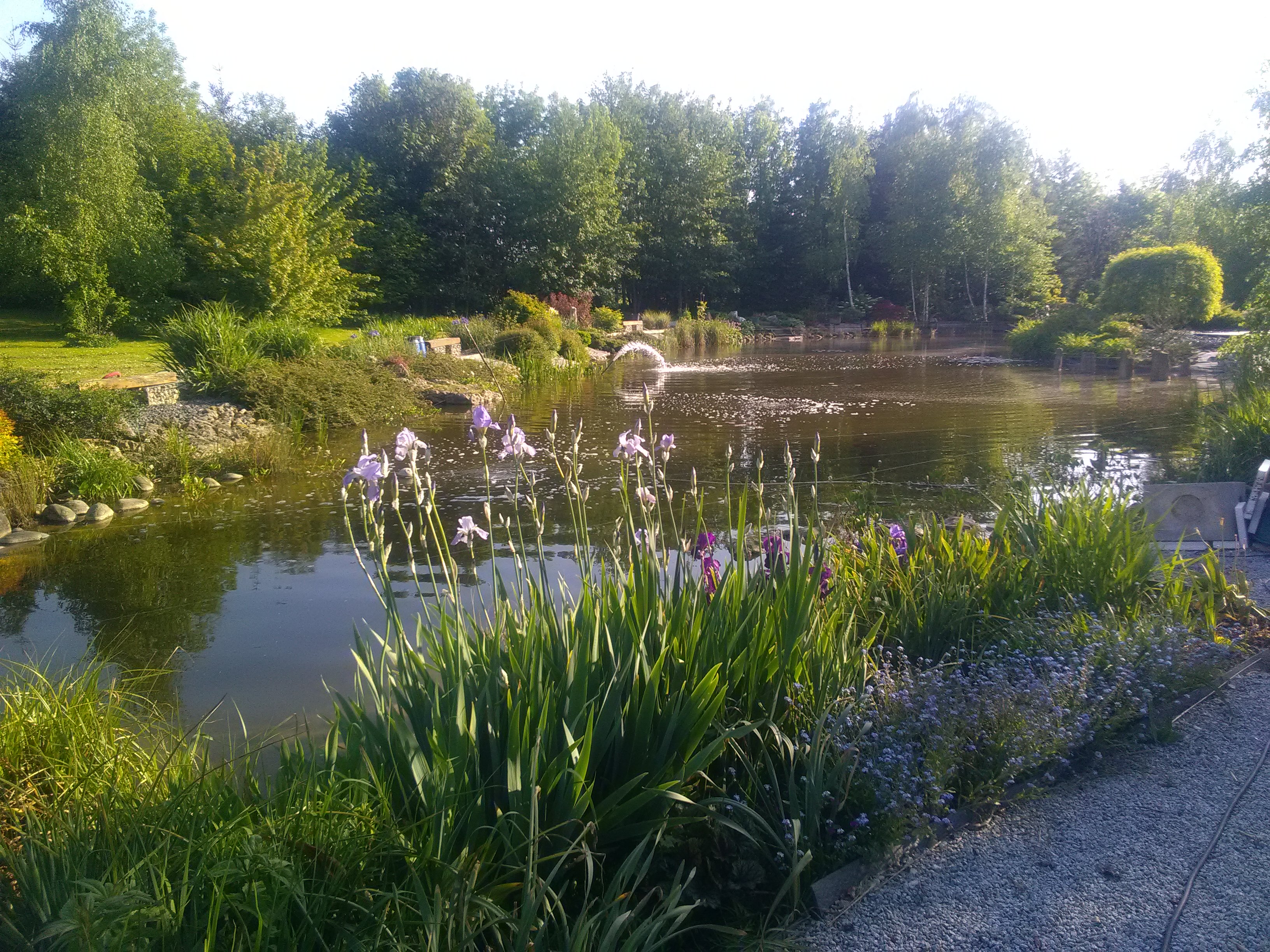 Photo n° 2 de l'avis de Olivier.a fait le 24/06/2020 à 19:39