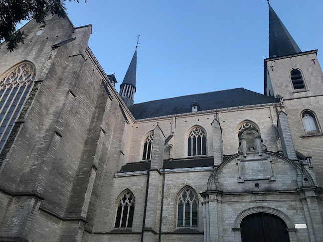 Beoordelingen van Sint-Kwintenskerk in Leuven - Kerk
