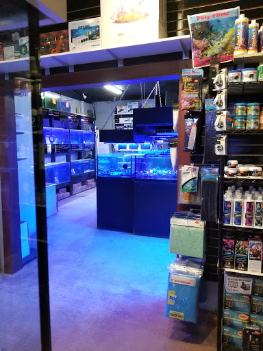 Tropical Fish Store «Blue Earth Corals & Aquariums», reviews and photos, 5791 Desoto Rd, Lake Worth, FL 33463, USA