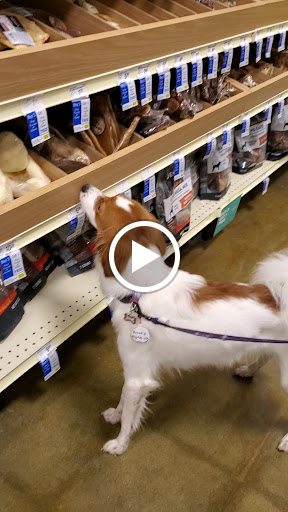 Pet Supply Store «PetSmart», reviews and photos, 6960 Amador Plaza Rd, Dublin, CA 94568, USA