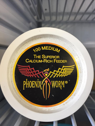 Pet Store «Critter Hut Aquarium & Pets», reviews and photos, 6637 Post Rd, North Kingstown, RI 02852, USA