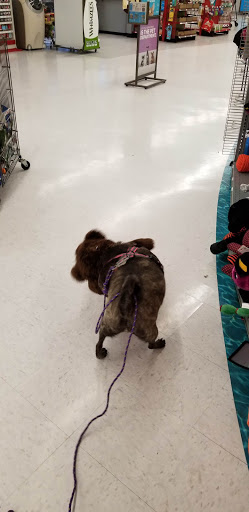 Pet Supply Store «Petco Animal Supplies», reviews and photos, 4012 W 27th Ave, Kennewick, WA 99337, USA