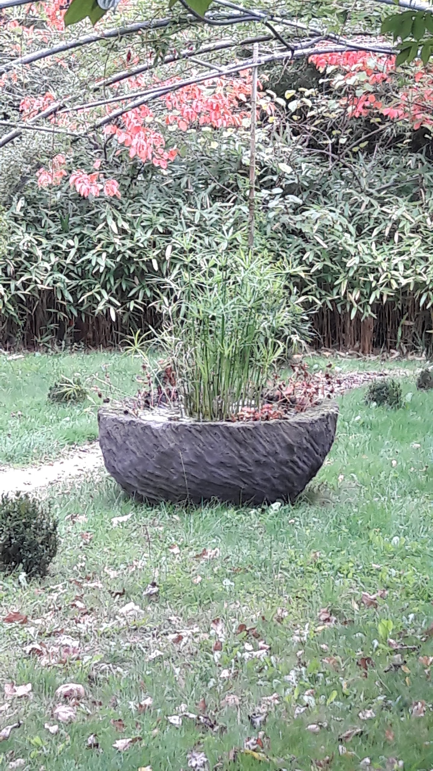 Photo n° 1 de l'avis de Valerie.e fait le 02/11/2017 à 02:02