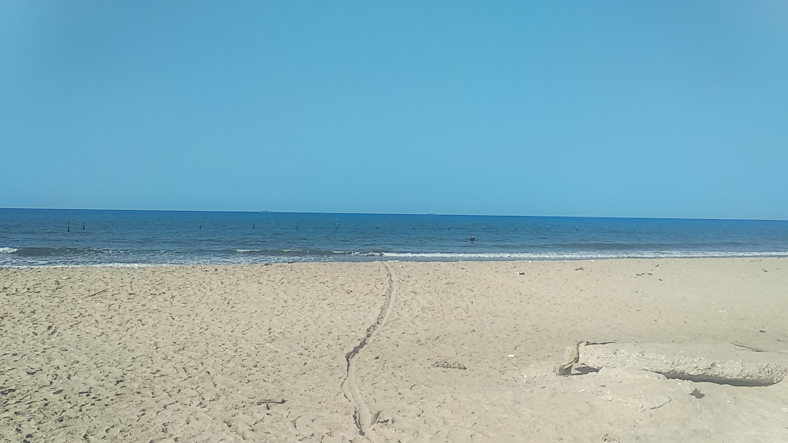 Palm Beach'in fotoğrafı ve yerleşim