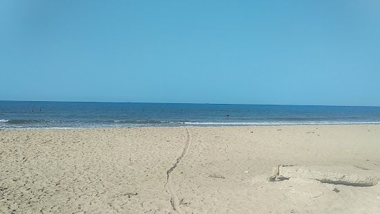 Palm Beach