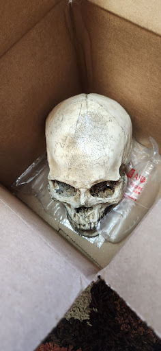 Explore arm sleeve tattoo ideas male, creative tattoo ideas in Bradenton, available at Memory Lane Tattoo Co.