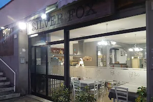 SILVER FOX image