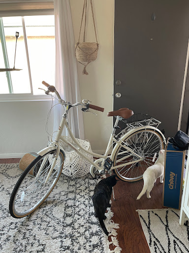 Sporting Goods Store «Play It Again Sports (Pacific Beach)», reviews and photos, 1401 Garnet Ave, San Diego, CA 92109, USA