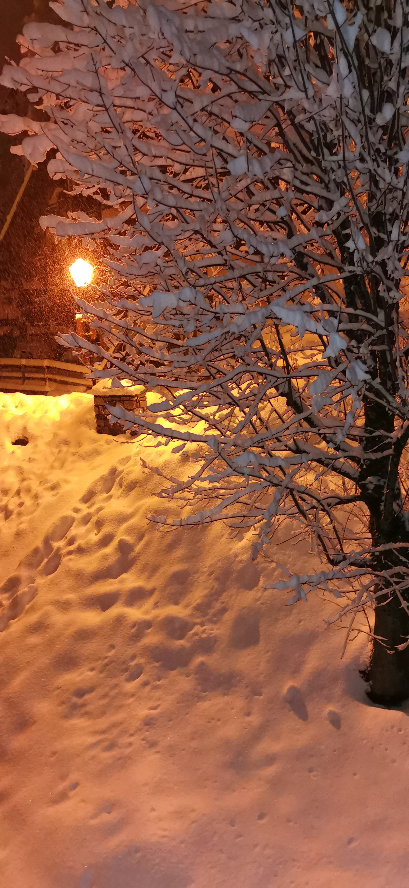 Photo n° 2 de l'avis de Lesueur.a fait le 09/03/2020 à 01:15