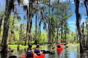 New Orleans Kayak Swamp Tours image
