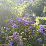 Photo n°2 de l'avis de Maria.i fait le 14/07/2018 à 16:12 sur le  Hotel Monte Giove à Premia