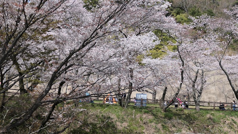 奥山雨山自然公園