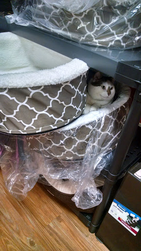 Pet Supply Store «EarthWise Pet Supply», reviews and photos, 11328 Montgomery Rd, Cincinnati, OH 45249, USA