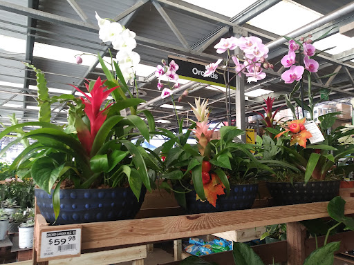 Home Improvement Store «The Home Depot», reviews and photos, 3730 Sun City Center Blvd, Ruskin, FL 33573, USA