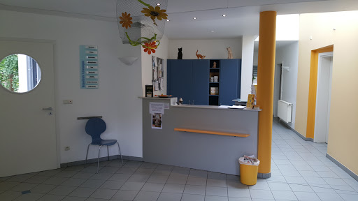 Kleintierpraxis Stein Tierärztin Jasmin Lindgens unter Stein, Bayern