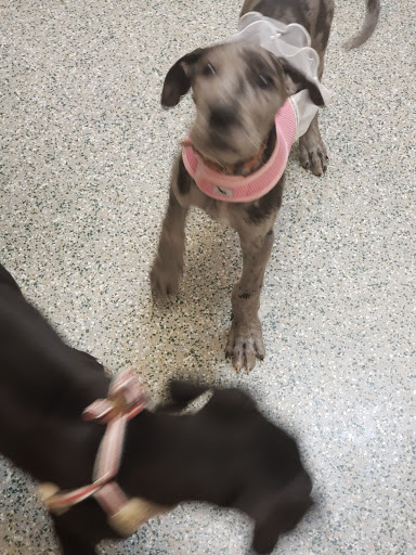 Shopping Mall «Greenbrier Shopping Center», reviews and photos, 225 Brierhill Dr, Bel Air, MD 21015, USA