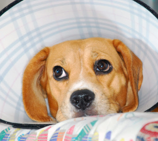 40 Amaral St, Riverside, RI 02915, USA