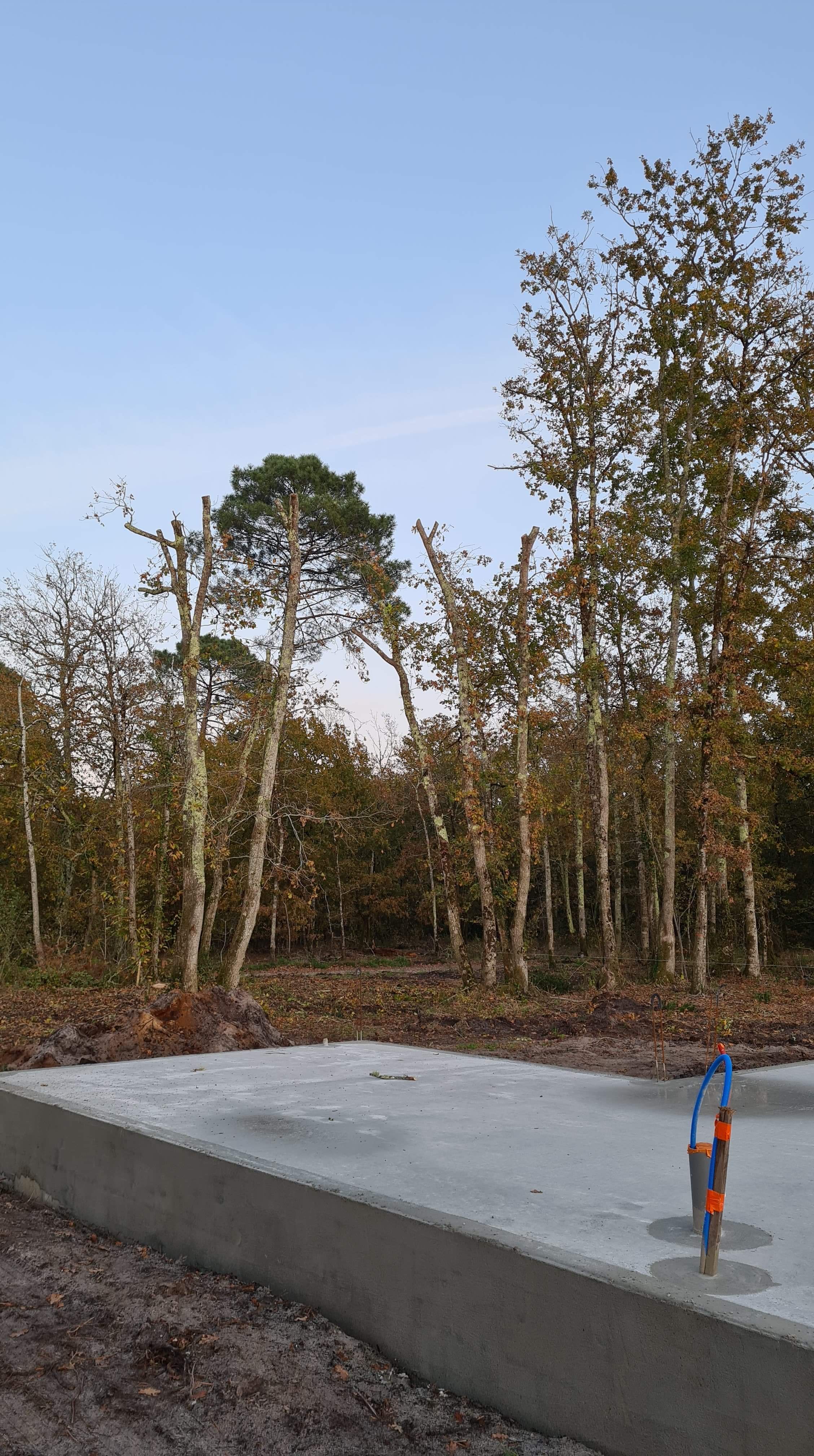 Photo n° 2 de l'avis de Philippe.E fait le 21/11/2020 à 09:24