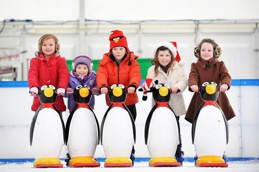 Ice skating rinks in Dublin