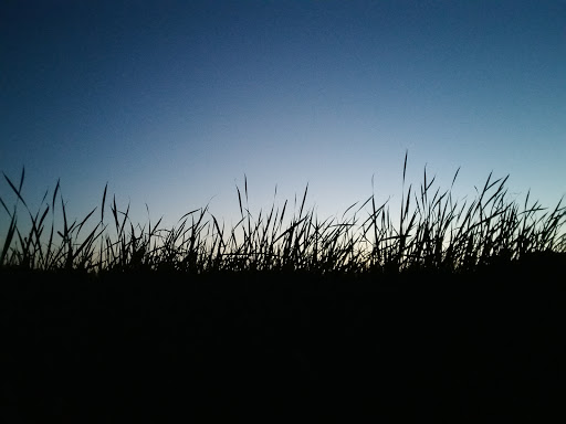 Park «Bass Lake Park», reviews and photos, 3450 Glenhurst Ave, Minneapolis, MN 55416, USA