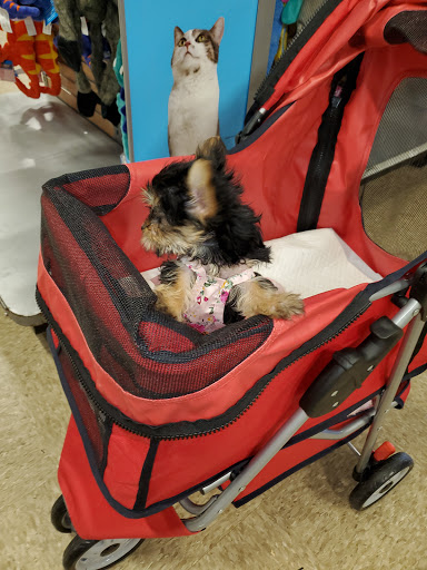 Pet Supply Store «PetSmart», reviews and photos, 16514 SW 88th St, Kendall, FL 33196, USA