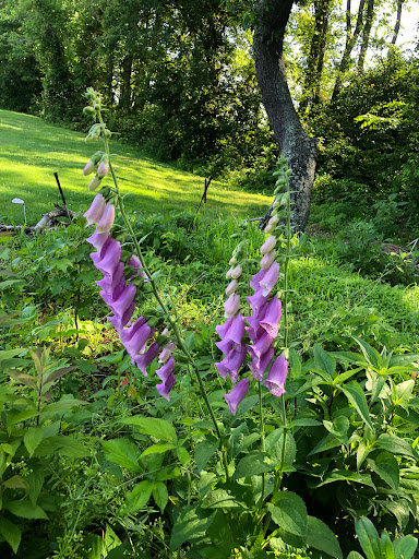 Golf Course «Great Hope Golf Course», reviews and photos, 8380 Crisfield Hwy, Westover, MD 21871, USA