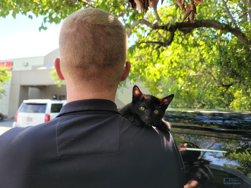 Pet Supply Store «Pet Club Santa Rosa», reviews and photos, 1935 Santa Rosa Ave, Santa Rosa, CA 95407, USA