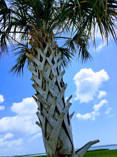 Park «Morse Park Landing», reviews and photos, 4939 US-17 BUS, Murrells Inlet, SC 29576, USA