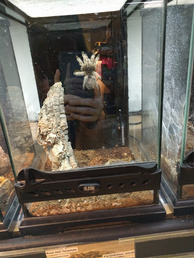 Pet Store «Critter Cabana», reviews and photos, 516 E 1st St, Newberg, OR 97132, USA