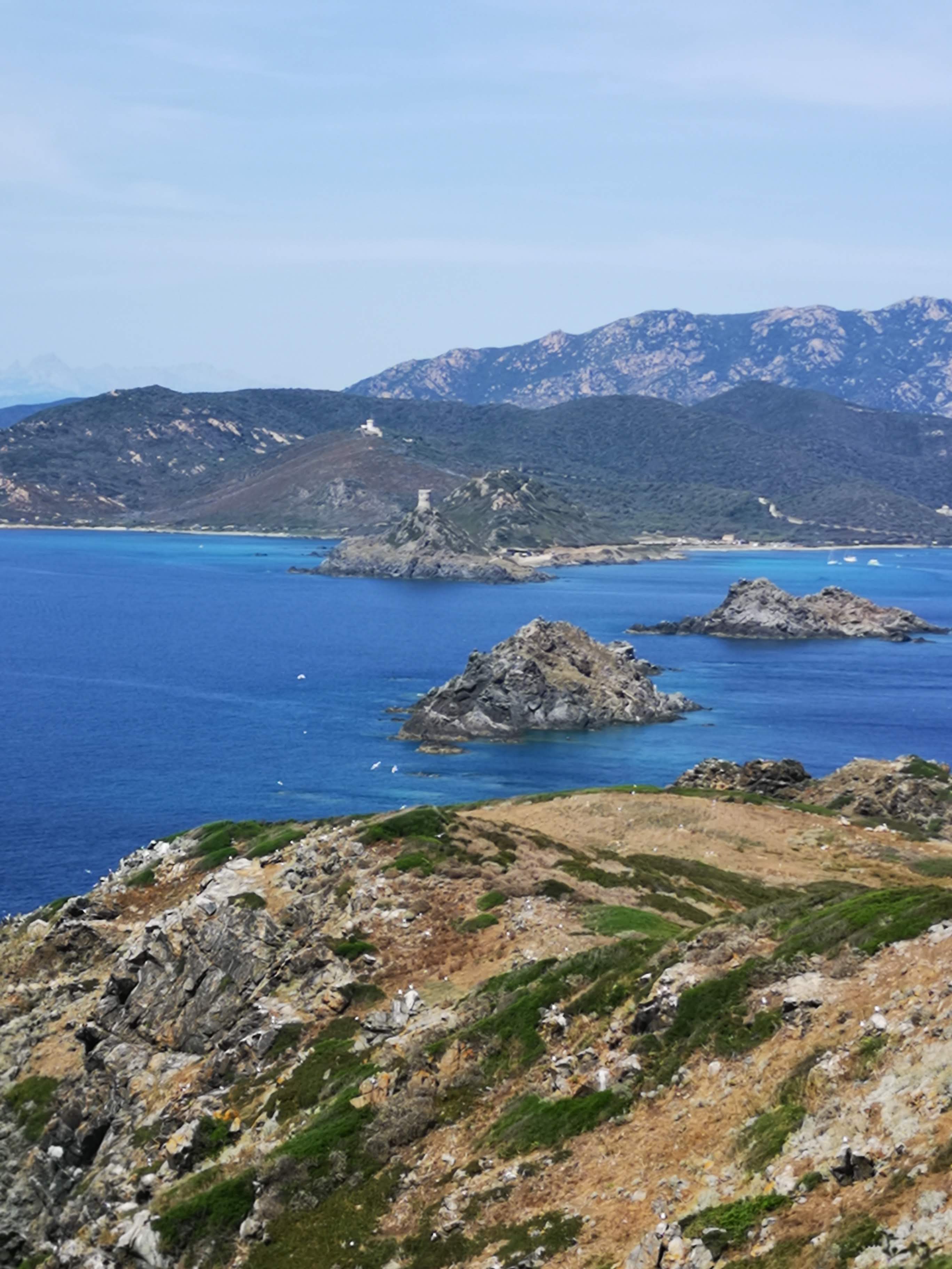 Photo n° 8 de l'avis de Richard.o fait le 26/06/2019 à 14:11