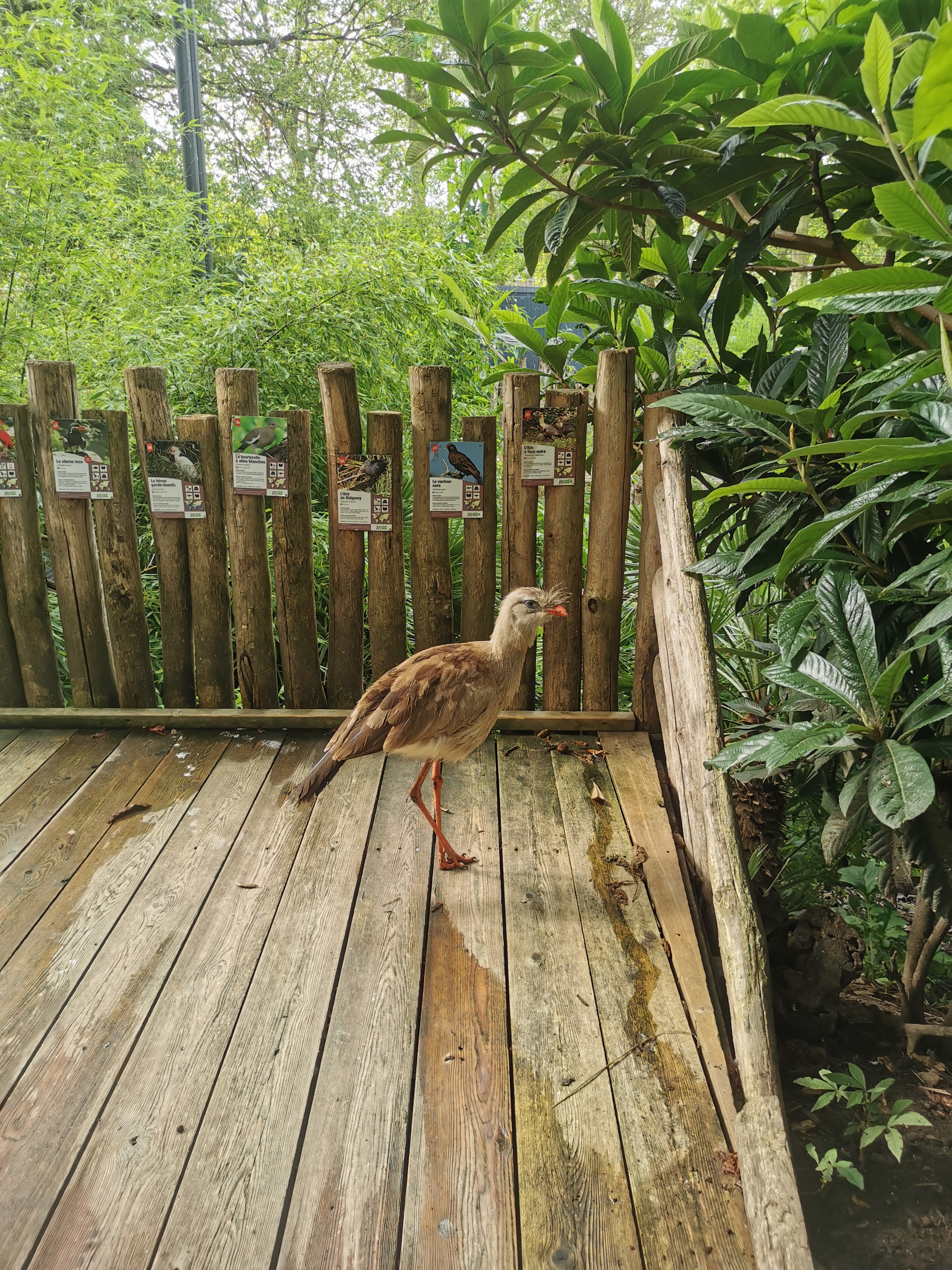 Photo n° 7 de l'avis de Marie.A fait le 11/08/2021 à 10:15