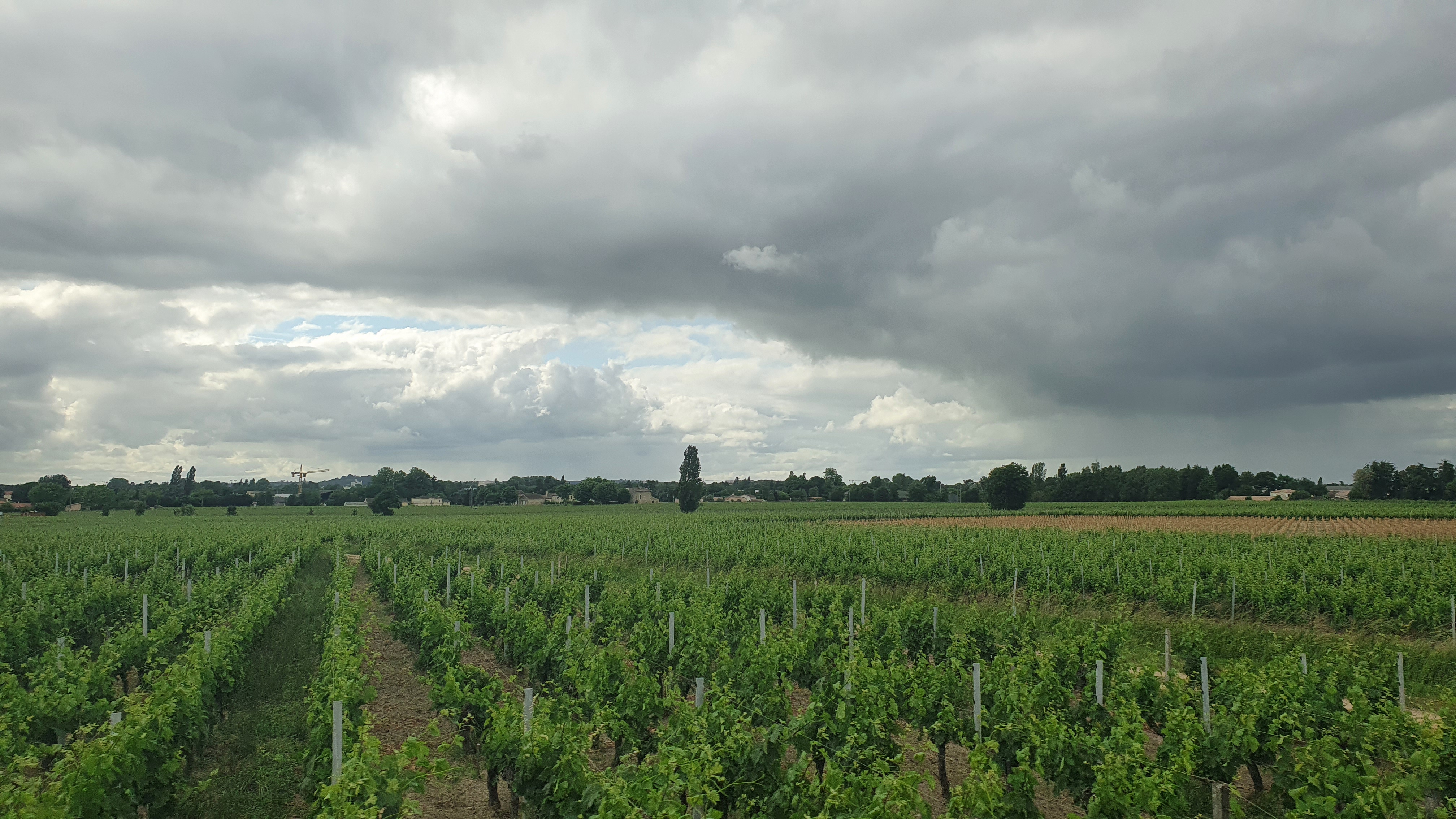 Photo n° 10 de l'avis de YoungMeen.h fait le 23/05/2022 à 16:35