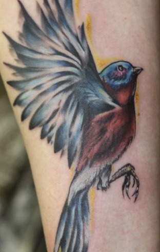 Explore schnauzer tattoo ideas, creative tattoo ideas in Knoxville, available at Black Moth Collective Tattoo