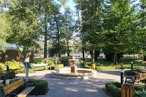 Park z fontanną image
