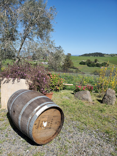 Winery «Azari Vineyards», reviews and photos, 1399 Spring Hill Rd, Petaluma, CA 94952, USA