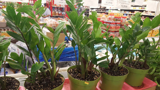 Asian Grocery Store «Thai An Oriental Market», reviews and photos, 2425 S Hillside St # 500, Wichita, KS 67216, USA