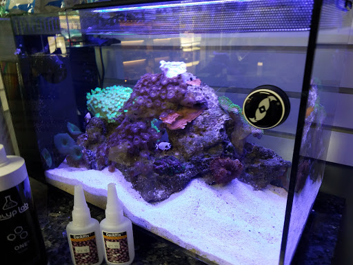 Tropical Fish Store «Classic City Aquariums», reviews and photos, 1260 Mars Hill Rd, Watkinsville, GA 30677, USA