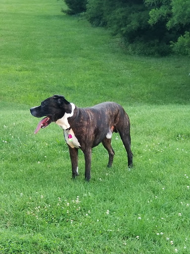 Pet Supply Store «Pet Valu», reviews and photos, 1080 N Bridge St #44, Chillicothe, OH 45601, USA