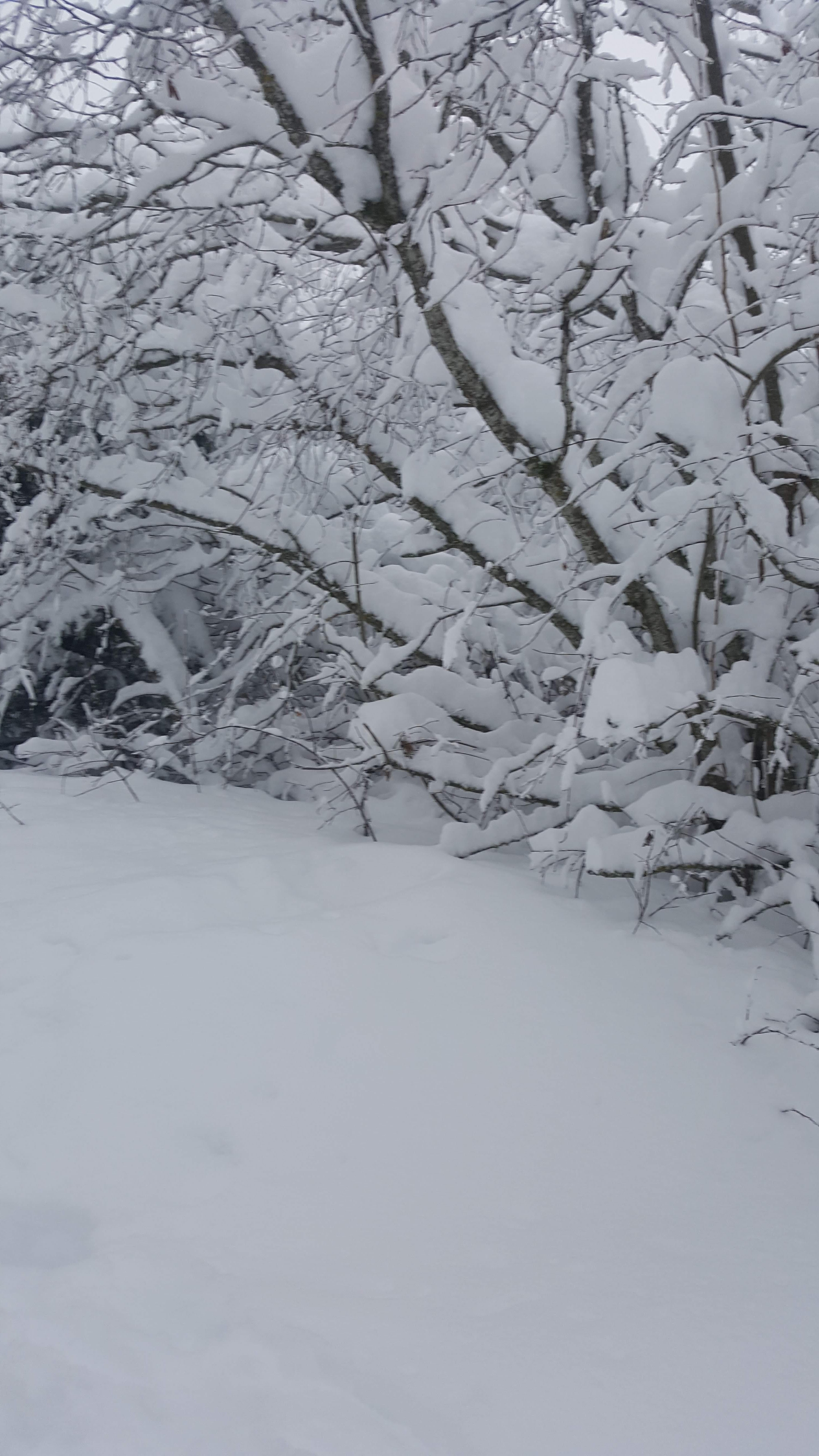 Photo n° 5 de l'avis de Krypton. fait le 03/02/2019 à 21:44