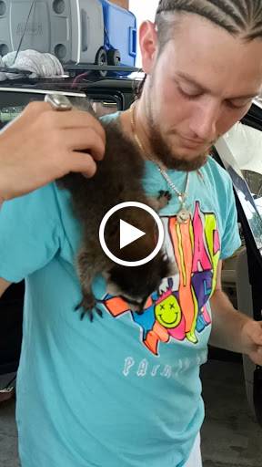 Movie Theater «AMC Southlake 24», reviews and photos, 7065 Mt Zion Cir, Morrow, GA 30260, USA