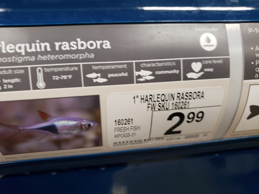 Pet Supply Store «Petco Animal Supplies», reviews and photos, 645 S Green Valley Pkwy, Henderson, NV 89052, USA