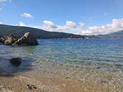 Caletta Pinetina'in fotoğrafı #41 ile birlikte