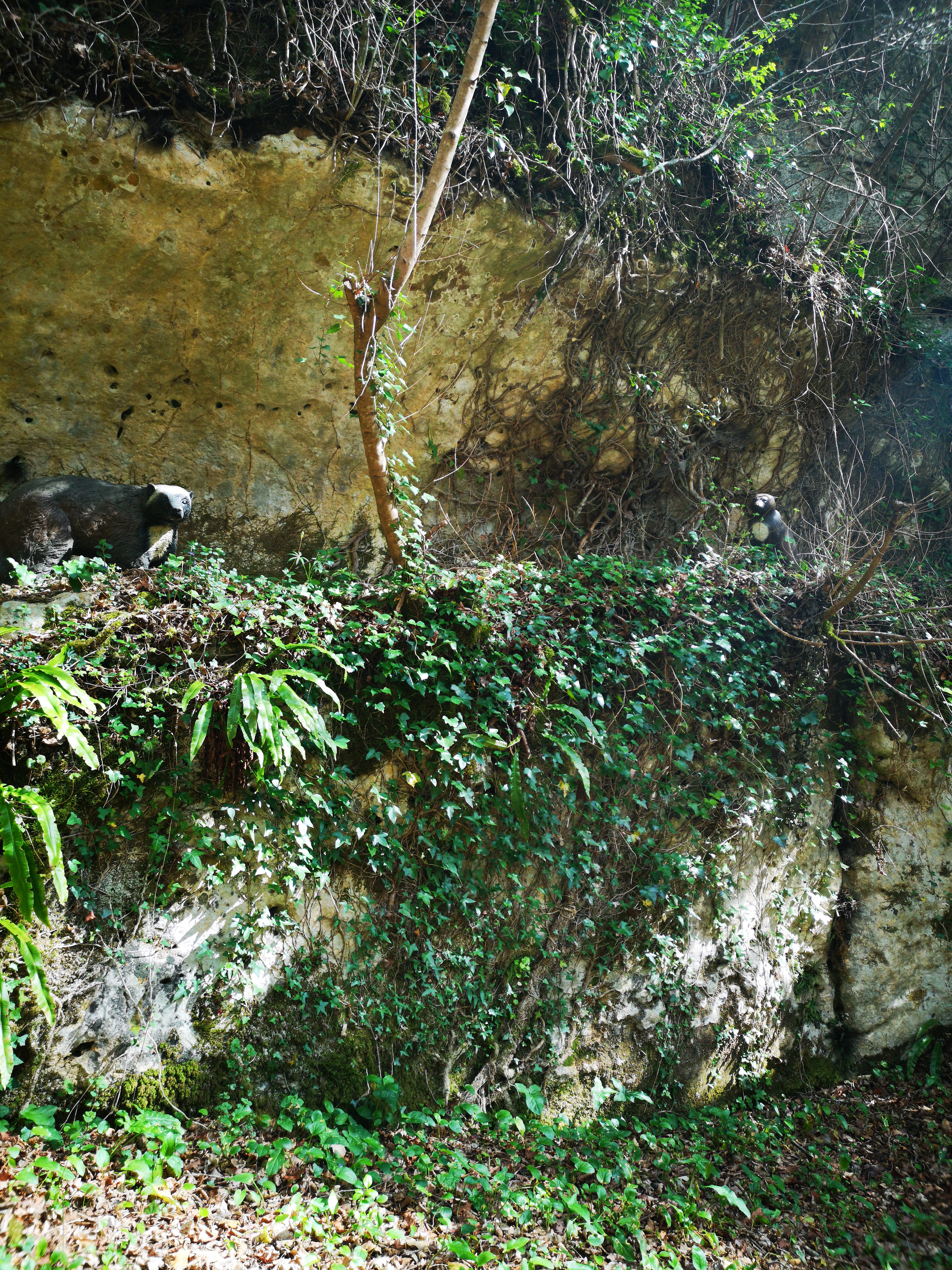 Photo n° 6 de l'avis de HAZMATIQUETTV. fait le 10/04/2019 à 19:47